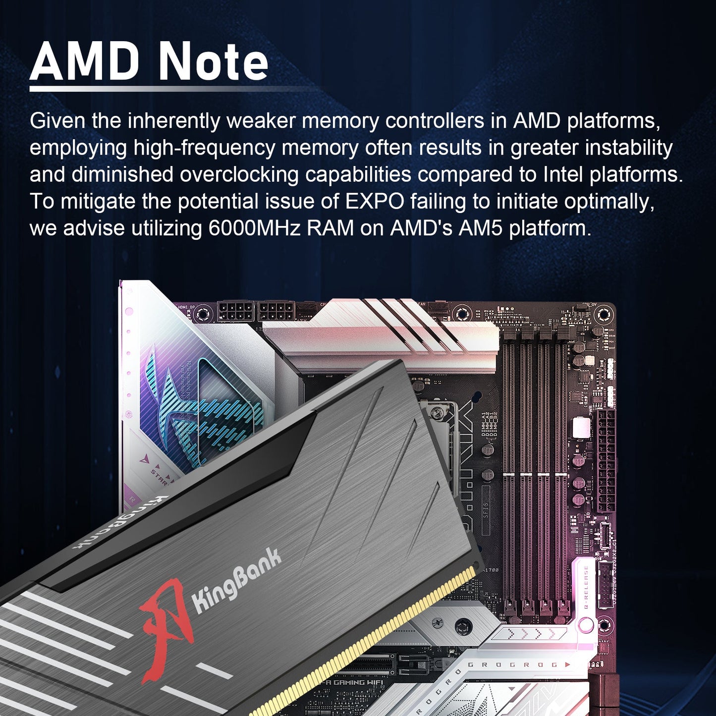 Kingbank KRXB DDR5 6000MHz 16GB CL36 Cxmt Black