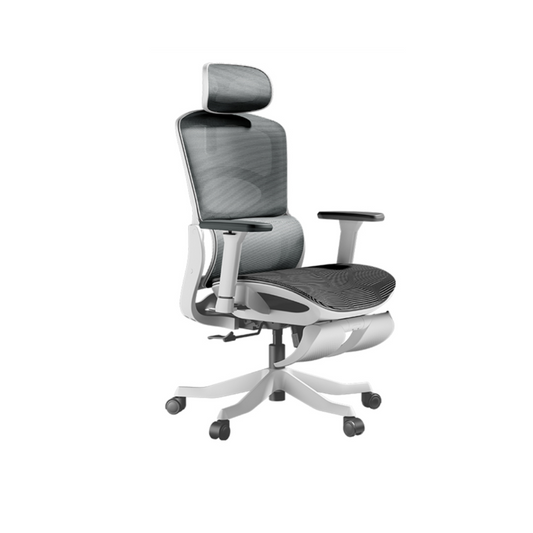Autofull HBADA P2 Pro+ ergonomic chair - Silver (E216WVD)