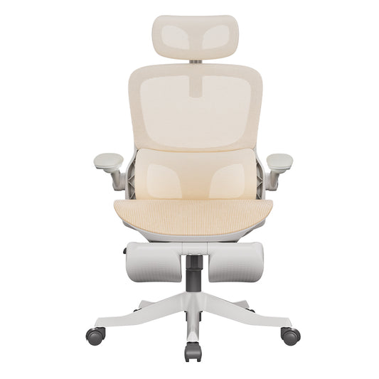 P2 Pro Ergonomic chair - Light yellow(P216QXB)