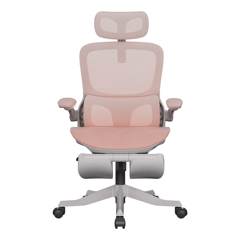 P2 Pro Ergonomic chair (P216PXE)