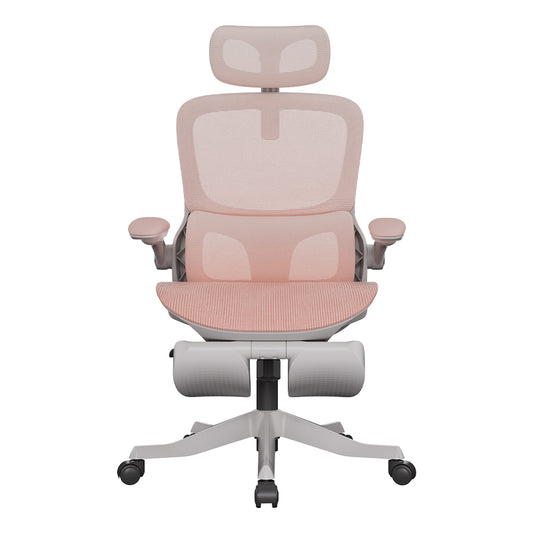 P2 Pro Ergonomic chair (P216PXE)