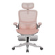 P2 Pro Ergonomic chair (P216PXE)
