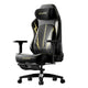 AutoFull C3 Pro Gaming Chair - Black & Gold (AFC306BSSB)