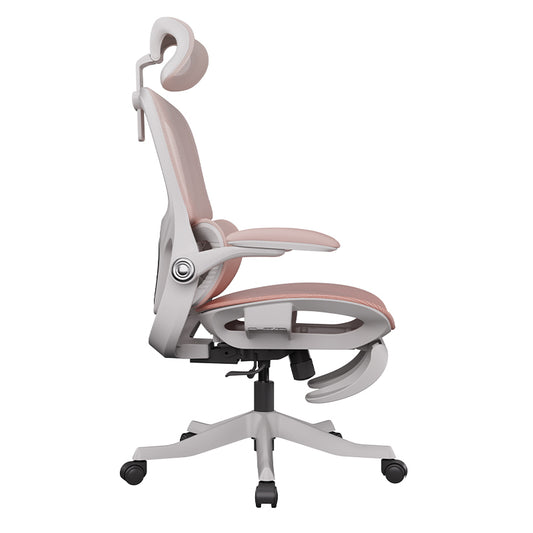 P2 Pro Ergonomic chair (P216PXE)