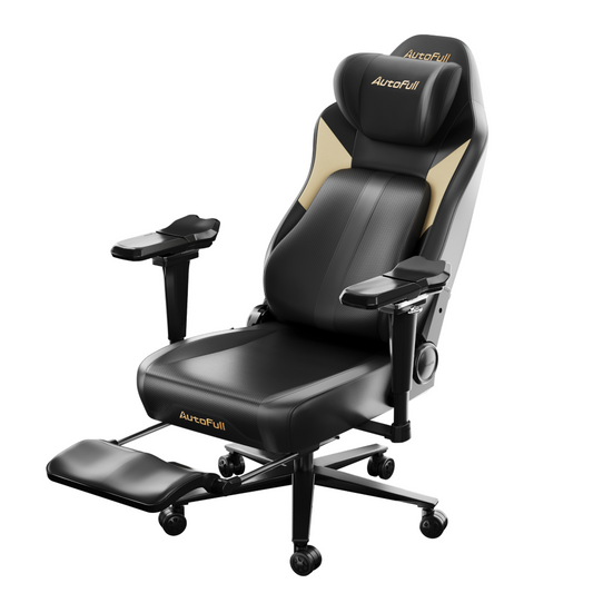 AutoFull M6 2.0 Pro Gaming Chair (AFM604BMSA)