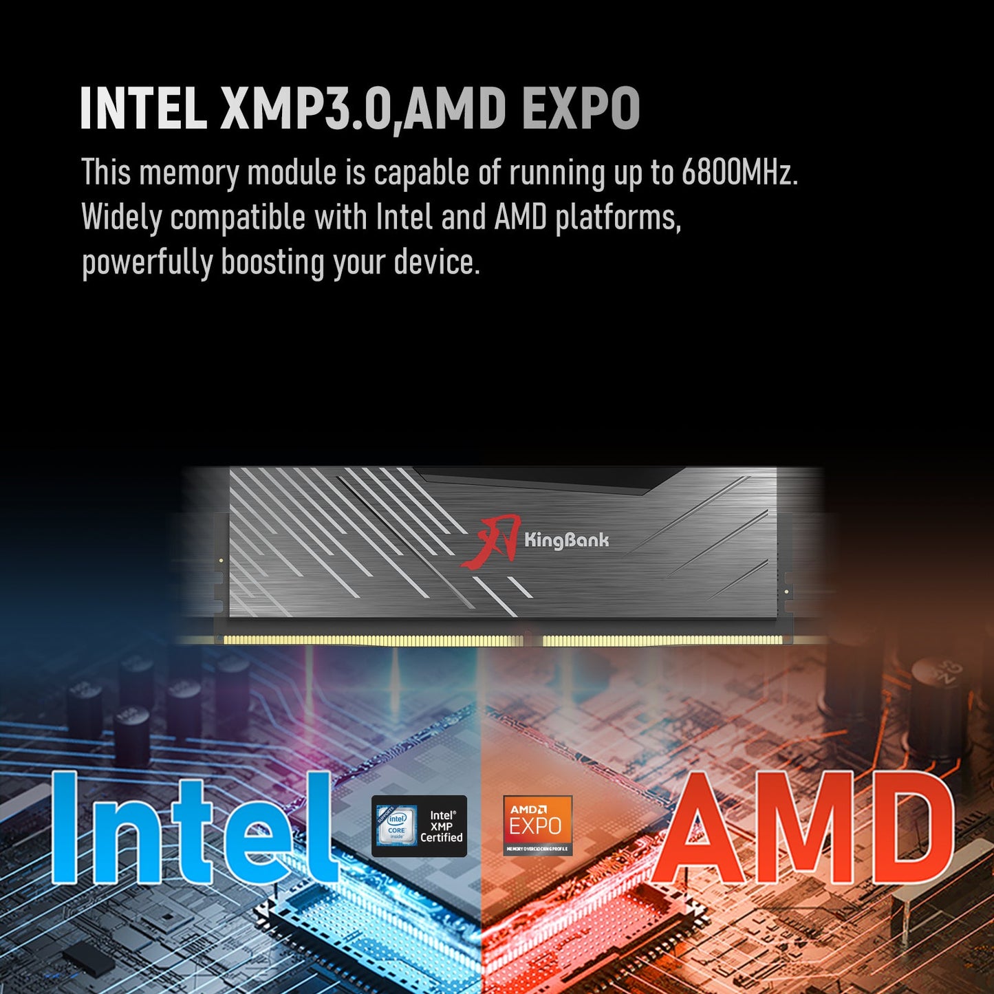 Kingbank KRXB DDR5 6000MHz 16GB CL36 Cxmt Black