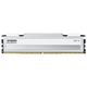 KLEVV FIT V  DDR5 6000MHz CL28 Desktop RAM - White 16gb