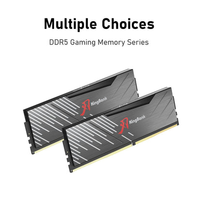 Kingbank KRXB DDR5 6000MHz 16GB CL36 Cxmt Black