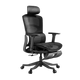 Autofull HBADA P2 Pro+ ergonomic chair