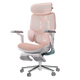 AutoFull HBADA E3 Pro 4.0 Ergonomic Office/Gaming Chair with Leg Rest (cherry blossom pink)