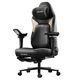 AutoFull M6 2.0 Pro Gaming Chair (AFM604BMSA)