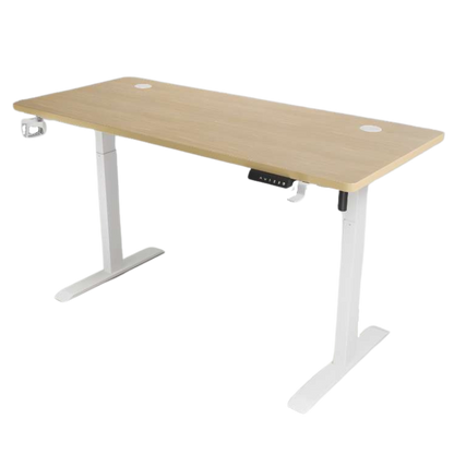 iCraft Peak Office Desk Height Adjustable Electric Stand Gaming Desk 160mm*60mm